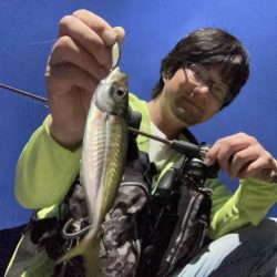 A.P.Pフィッシングガイドサービス　ベイトタックルでアジングにRIDEON！