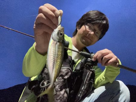 A.P.Pフィッシングガイドサービス　ベイトタックルでアジングにRIDEON！