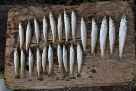 梅雨の晴れ間を狙って