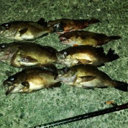 フロートゲーム