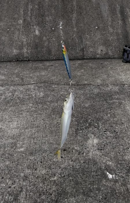 ショアジギング連敗更新中