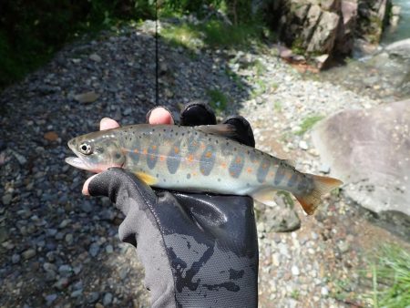 増水が吉と出て