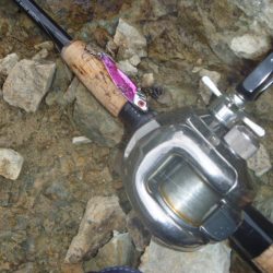 降りそで降らない