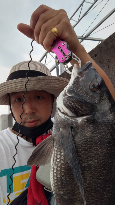 チヌ連発。あいたかったぁ！