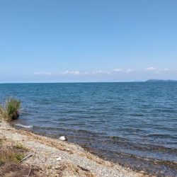 夕方の小鮎釣り