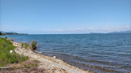 夕方の小鮎釣り