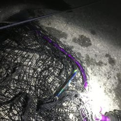 めげずに頑張りました(ToT)