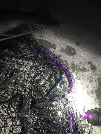 めげずに頑張りました(ToT)