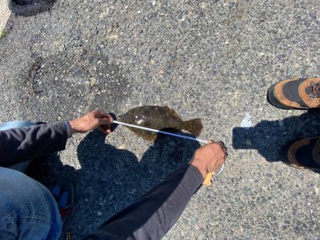 梅雨の晴れ間に豆アジサビキで？