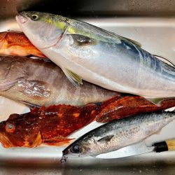 康仁丸・ジギング釣り果