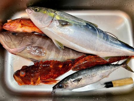 康仁丸・ジギング釣り果