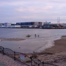 芦屋川河口シーバス