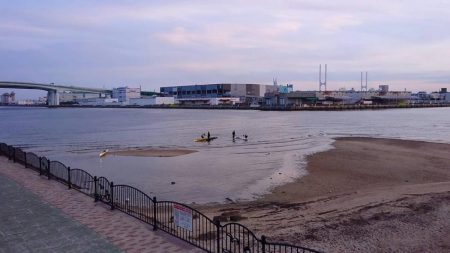 芦屋川河口シーバス