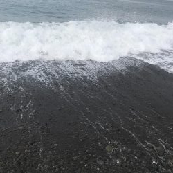 ダイソージグでハマチGET