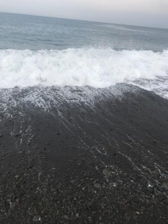 ダイソージグでハマチGET