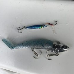 ダイソールアーでカンパチGET