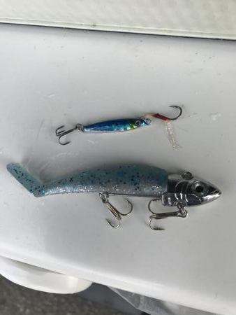 ダイソールアーでカンパチGET