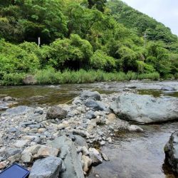 令和3年 祝! 解禁