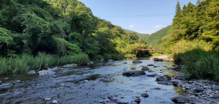 和歌山鮎だより