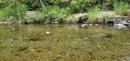 解禁日から1週間