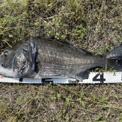 イチノ兄弟、釣果！