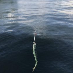 ダイソーマイクロジグ