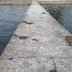 朝マヅメにリベンジエギング