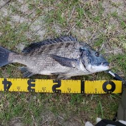 デイゲームにて。