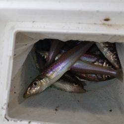 今日も満足しました