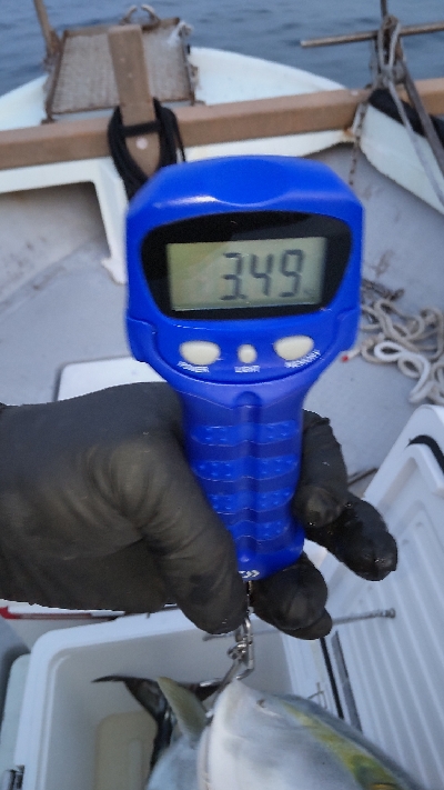 久しぶりの投稿です