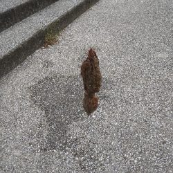 2021釣行投稿NO.5