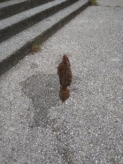 2021釣行投稿NO.5