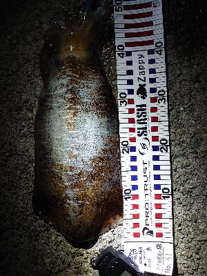 やったぜ!アオリ自己新!!