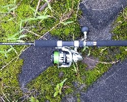 リバーシーバス