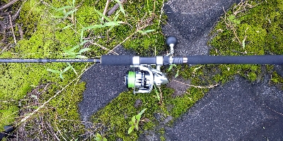 リバーシーバス