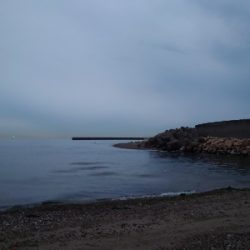 チニング→フラットフィッシュ