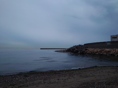 チニング→フラットフィッシュ