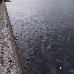 タチウオの時合い／夕マヅメ