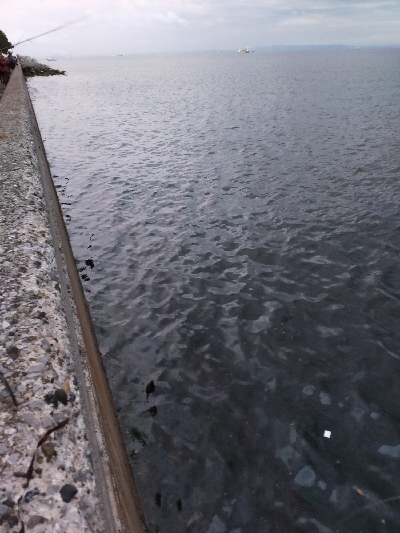 タチウオの時合い／夕マヅメ