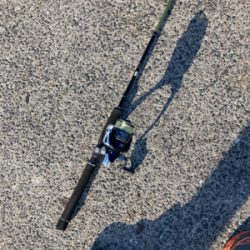 アジングロッドで良型チヌゲット!!