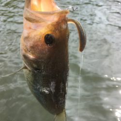 厳しいながらも