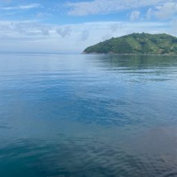 春イカシーズン終わりか？