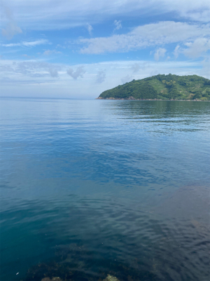 春イカシーズン終わりか？