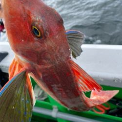 銚子、イワシ泳がせ五目