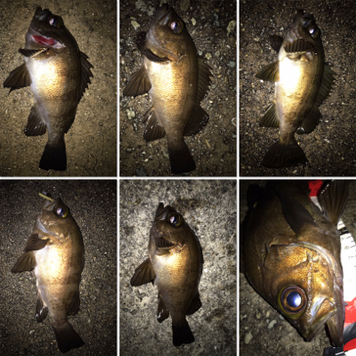 2021ライトゲーム第17戦