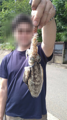 エサ巻きエギングで巨大なコウイカ