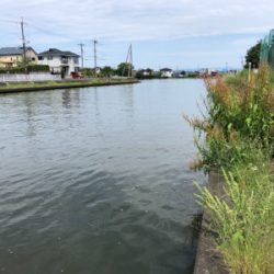 バス釣りのはずが・・・