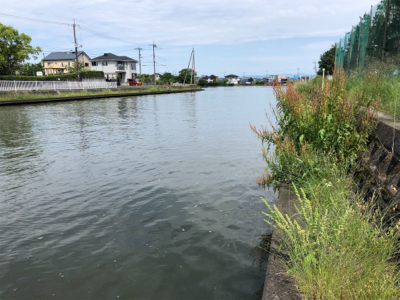 バス釣りのはずが・・・