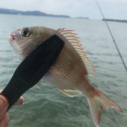 目玉が釣れた！こんな事ある！？