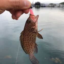 なんとか釣れたぁ〜